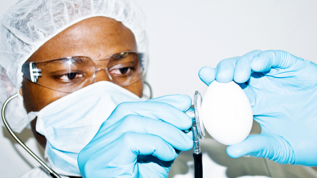 A Lot of Diversification in Online Zoology Degree Digital Future Council