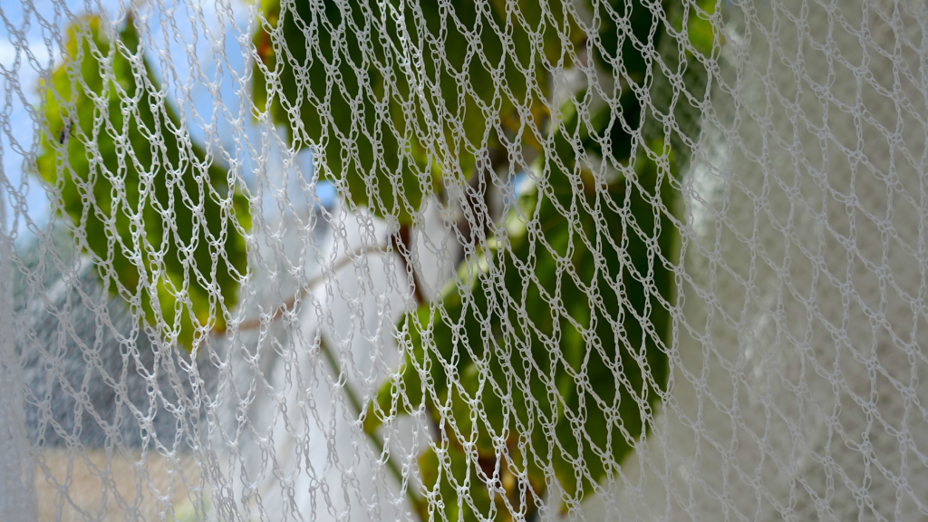 Benefits of Installing Bird Netting Around Your Home Digital Future